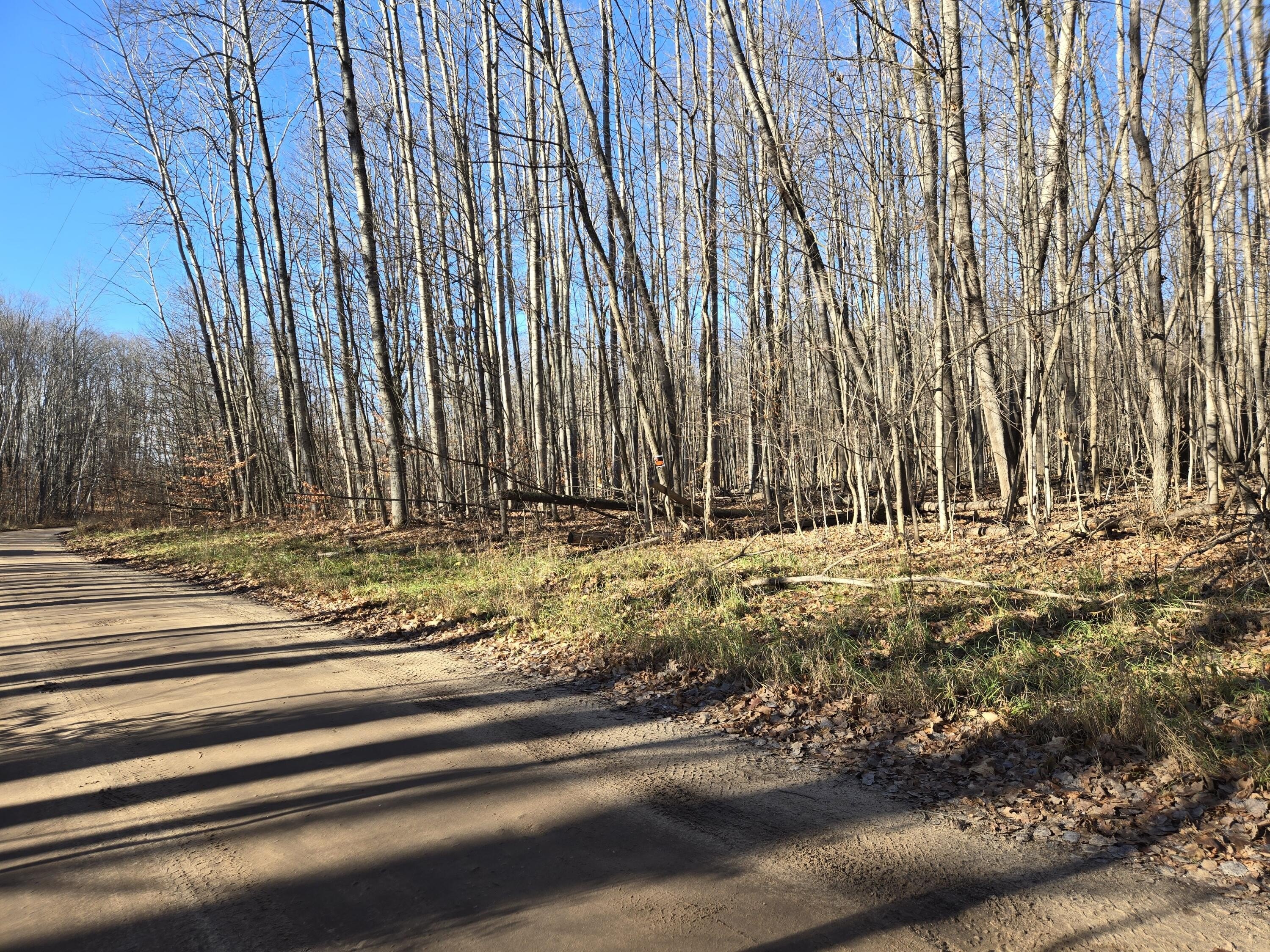 10 Acres of Hunting Land