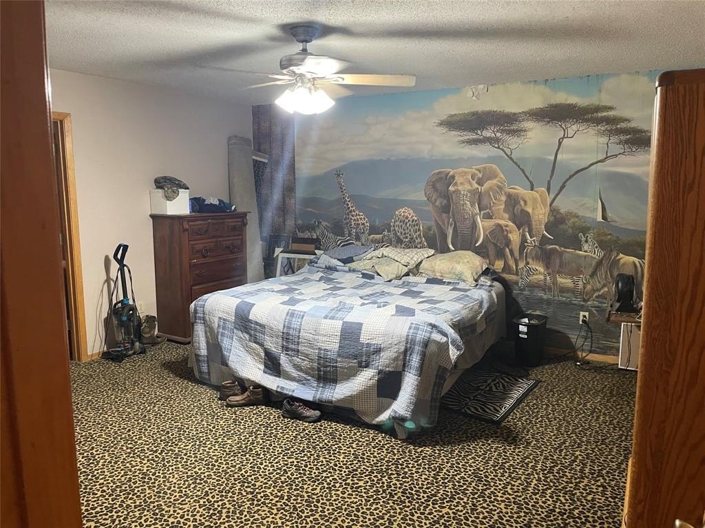 Picture 19