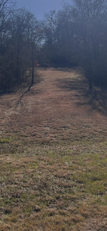 Picture 2