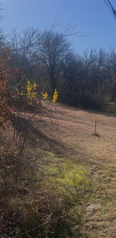 Picture 3