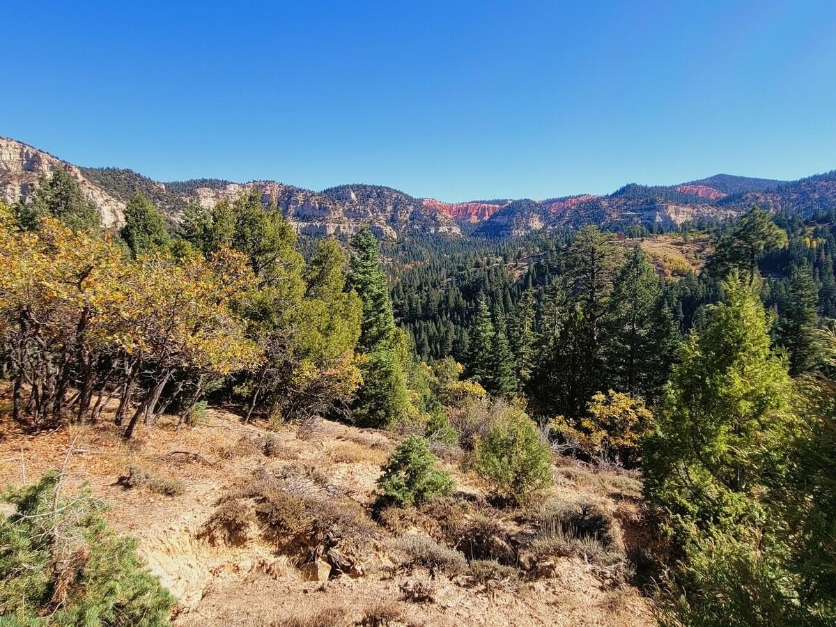Duck Creek Building Lot