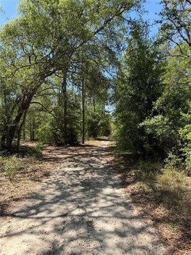 Land, BRONSON, FL
