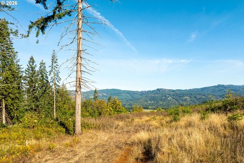 Land, LaCenter, WA