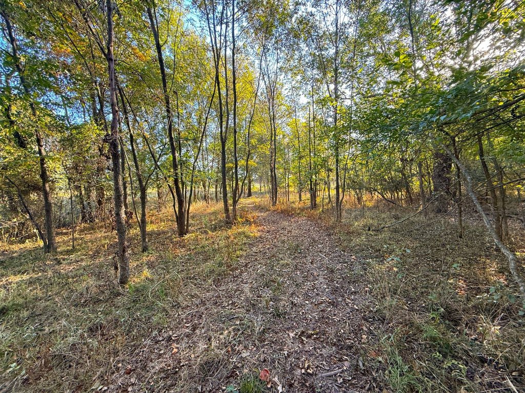 Picture 33