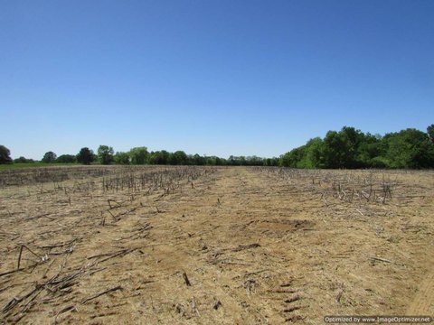 Recreation Development Land with Oaks
