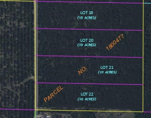 Wooded Acreage Near Wisconsin Rapids