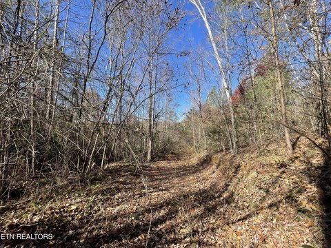 Land in Tellico Plains, TN