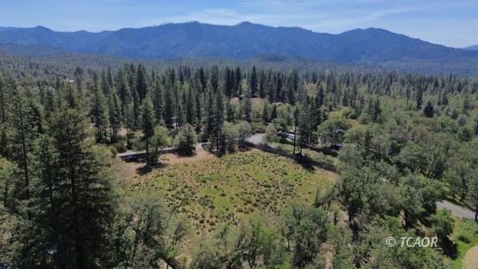 Hayfork Land with Mountain Views