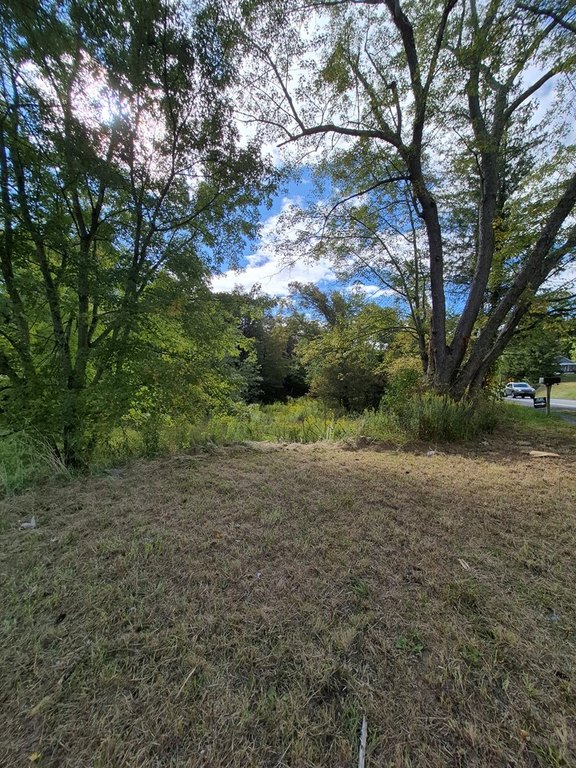Picture 20