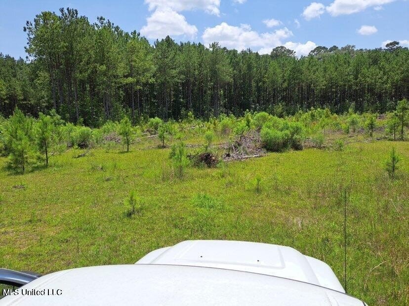 Mendenhall Land For Sale