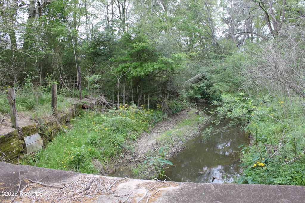 Picture 7