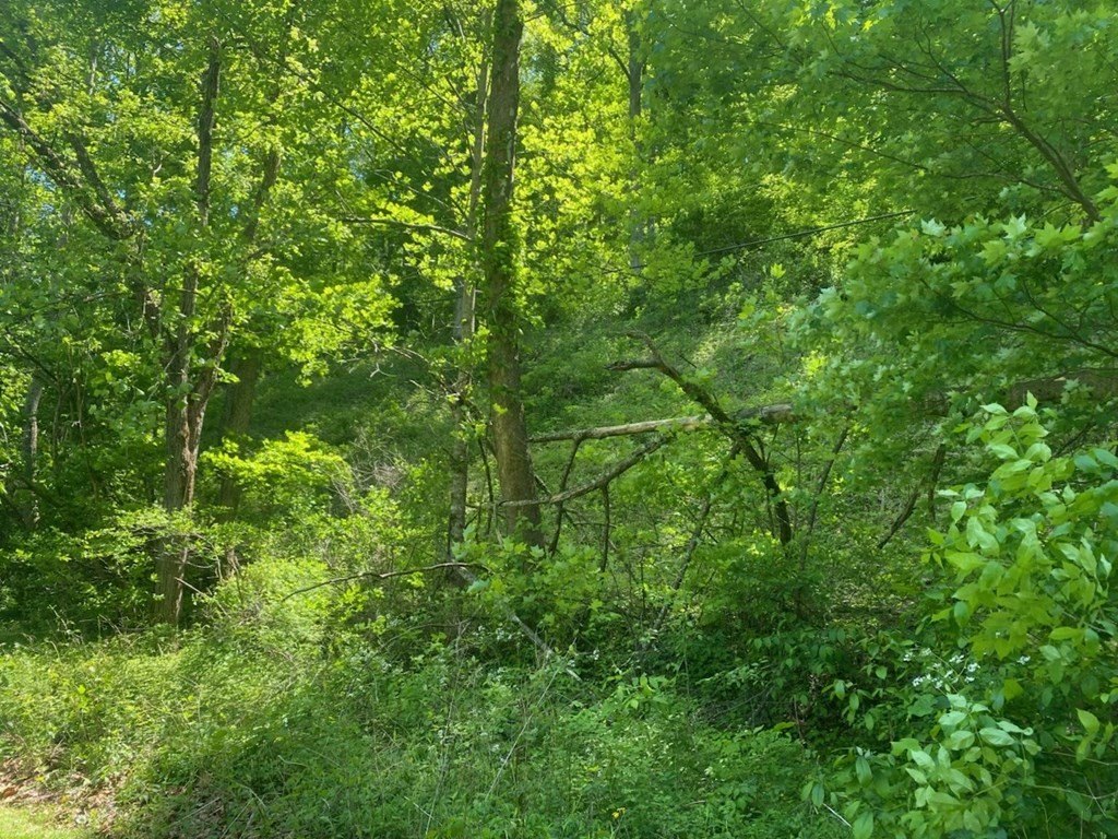 Picture 8
