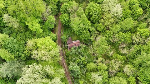 Hunting Land with Cabin Potential