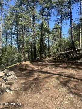 LAND - Lakeside, AZ