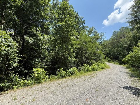 Mountain Homesite with Greenbelt Views