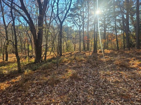 One Acre Lot in Franktown