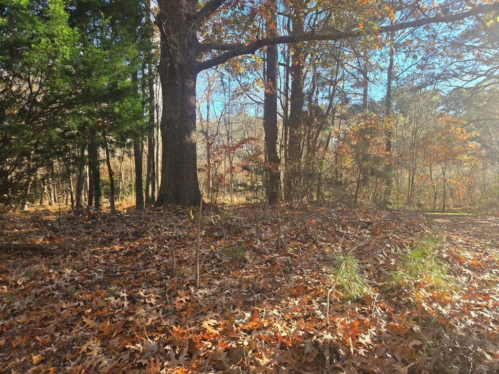 Picture 3