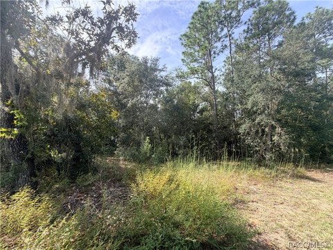 Land, Inverness, FL