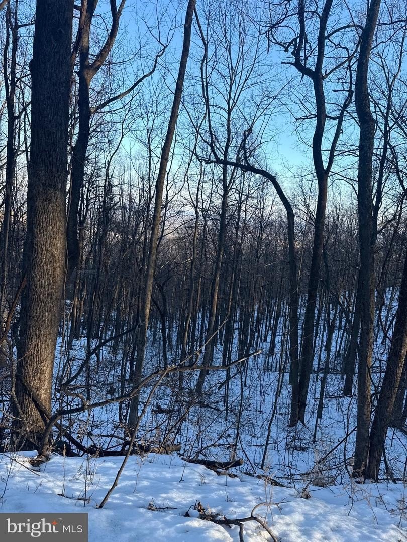 Land For Sale in HAYMARKET