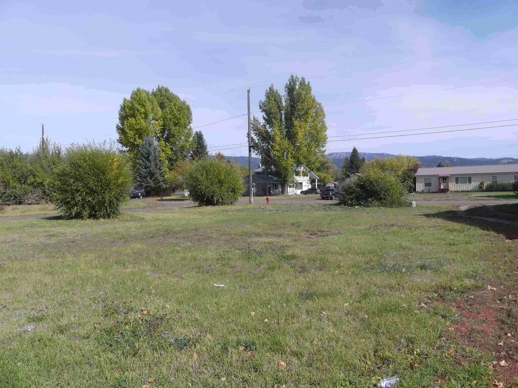Picture 9