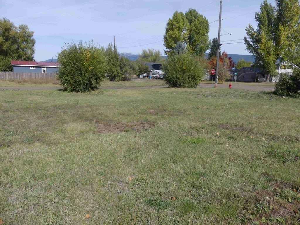 Picture 12
