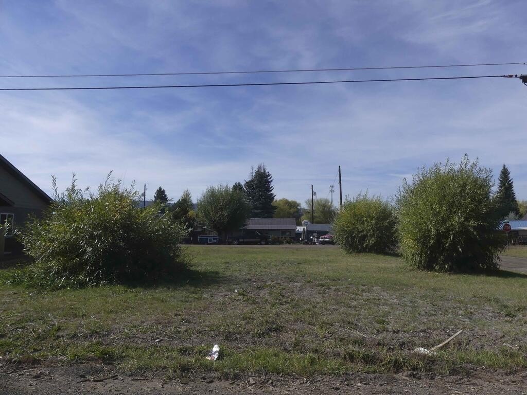 Picture 5