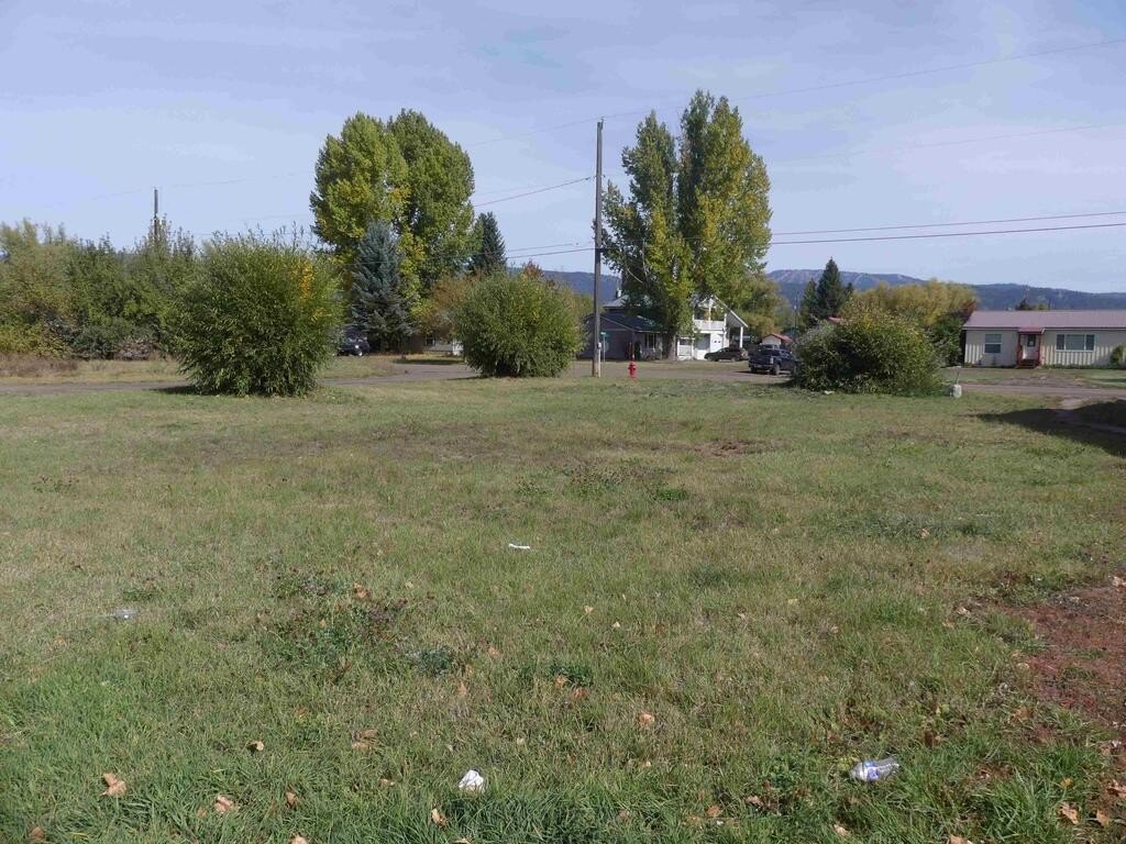 Picture 11