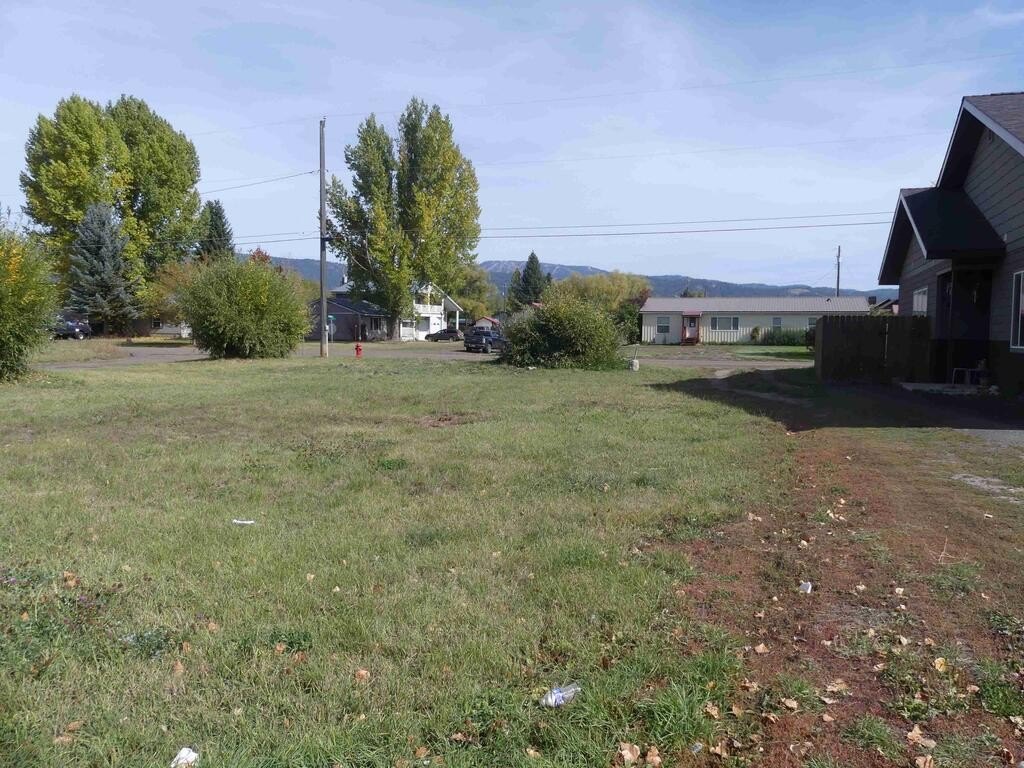 Picture 3