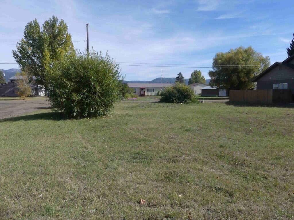 Picture 15