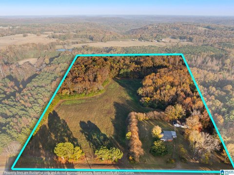 LAND - FALKVILLE, AL