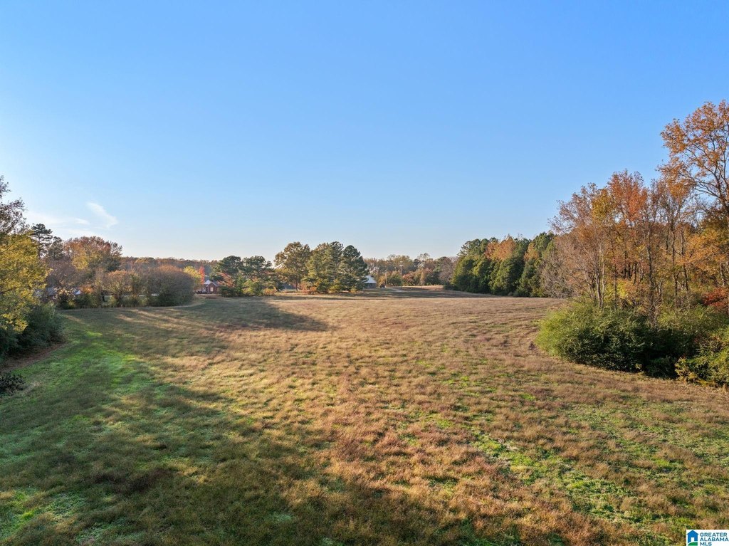 Picture 24