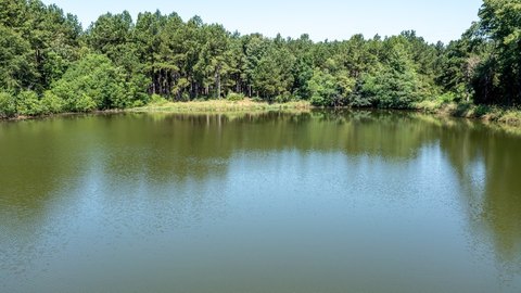 Timber & Recreation Ranch Land