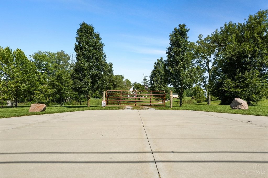 Picture 4