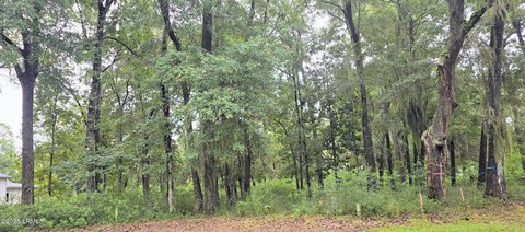 Residential Lot on Cat Island