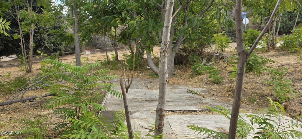 Picture 2