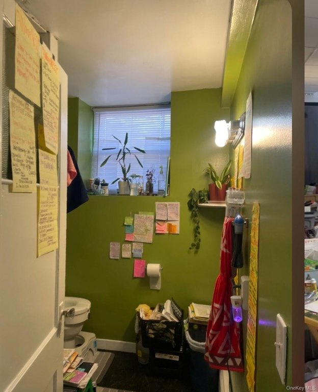 Picture 37