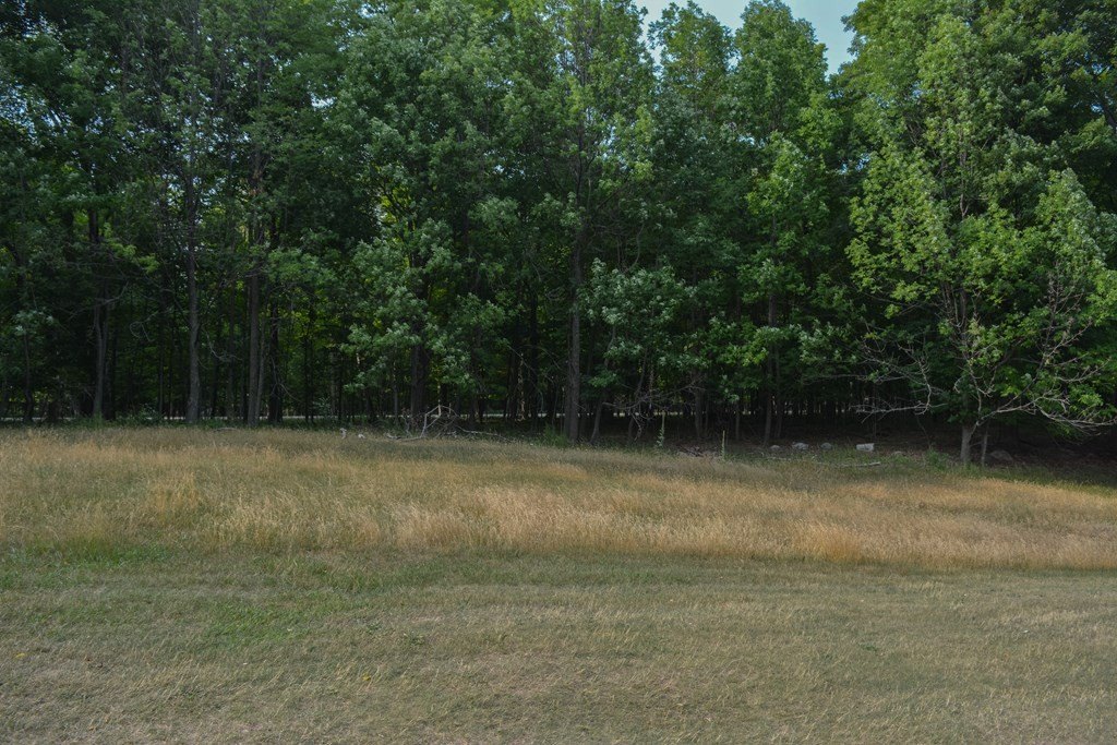 Picture 8