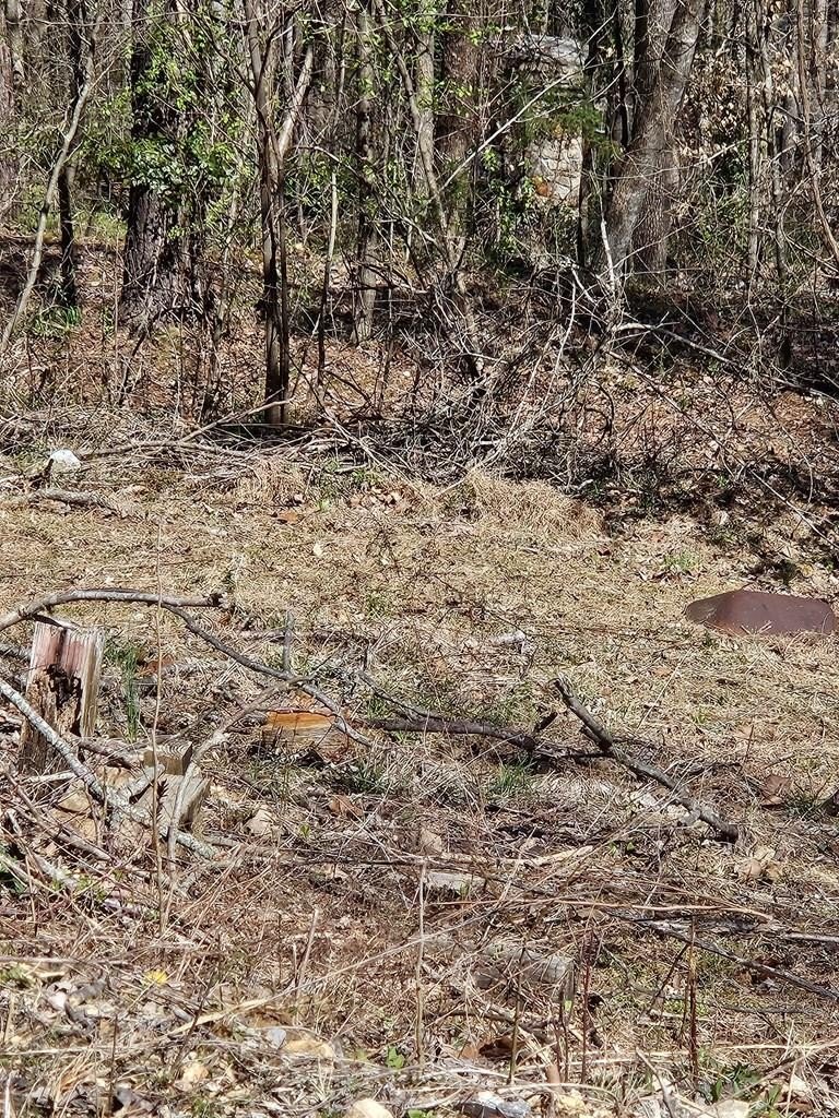 Unrestricted Lake Lot in Smithville