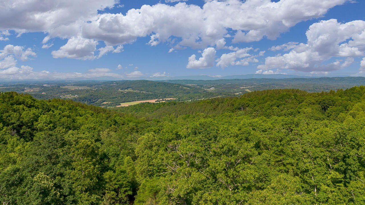 18 Acres in Buchanan, VA