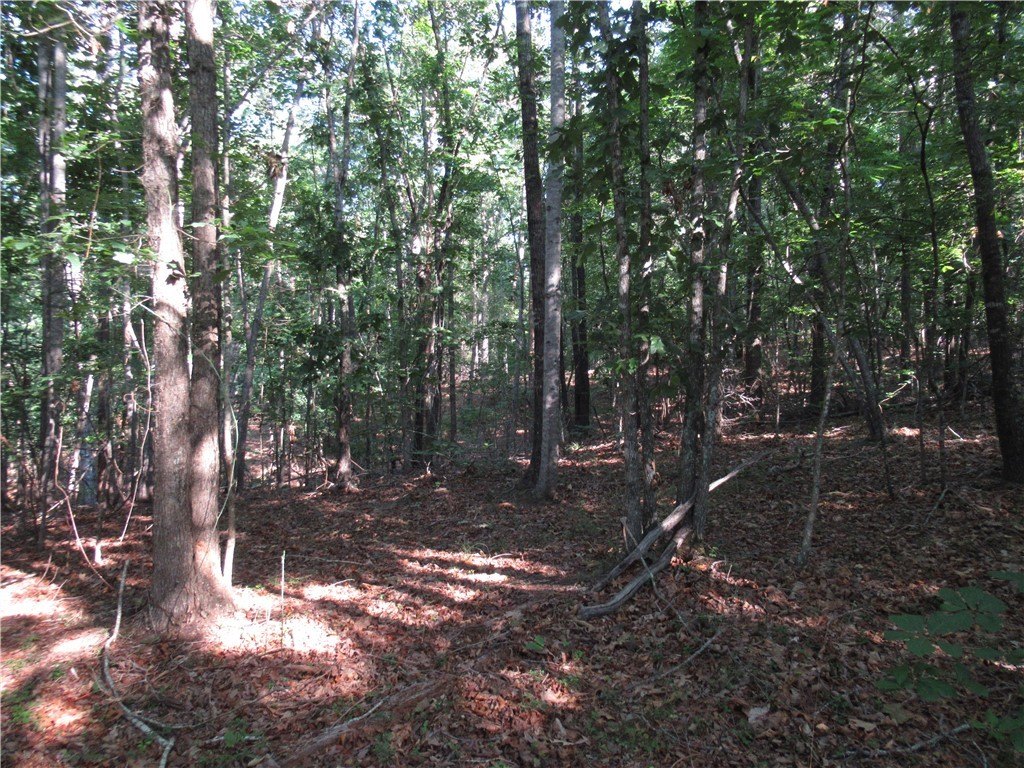 Picture 16