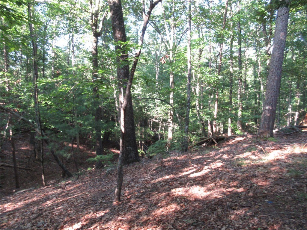 Picture 19
