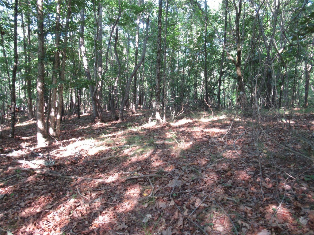 Picture 15