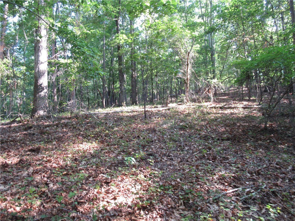 Picture 17