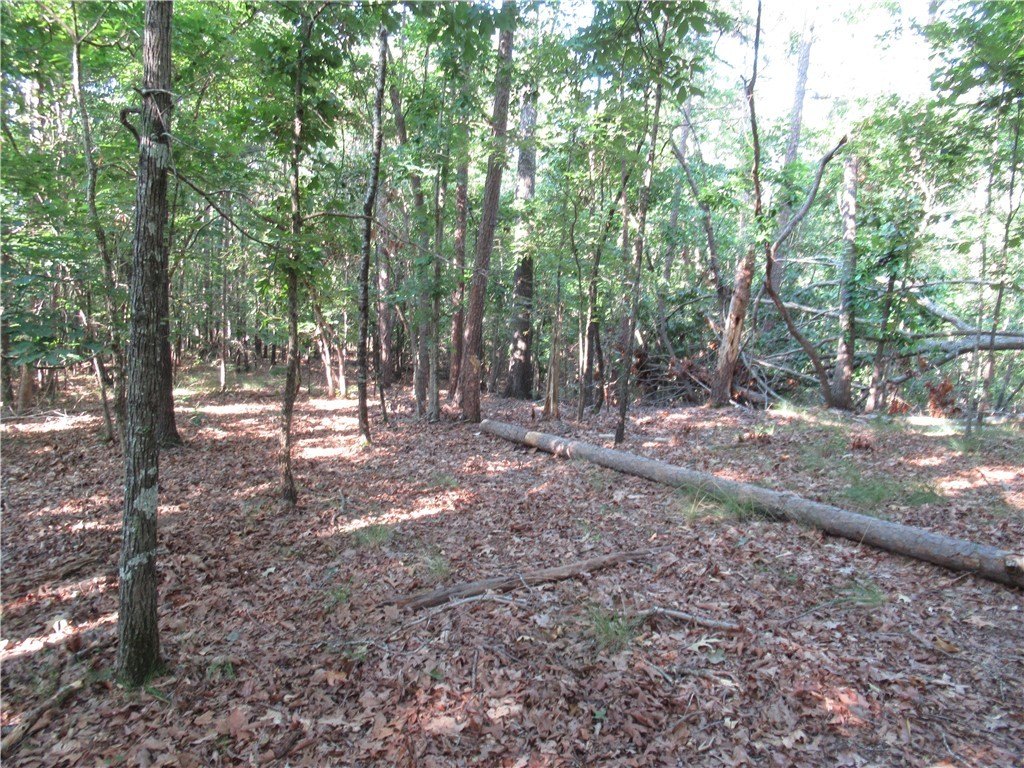 Picture 13