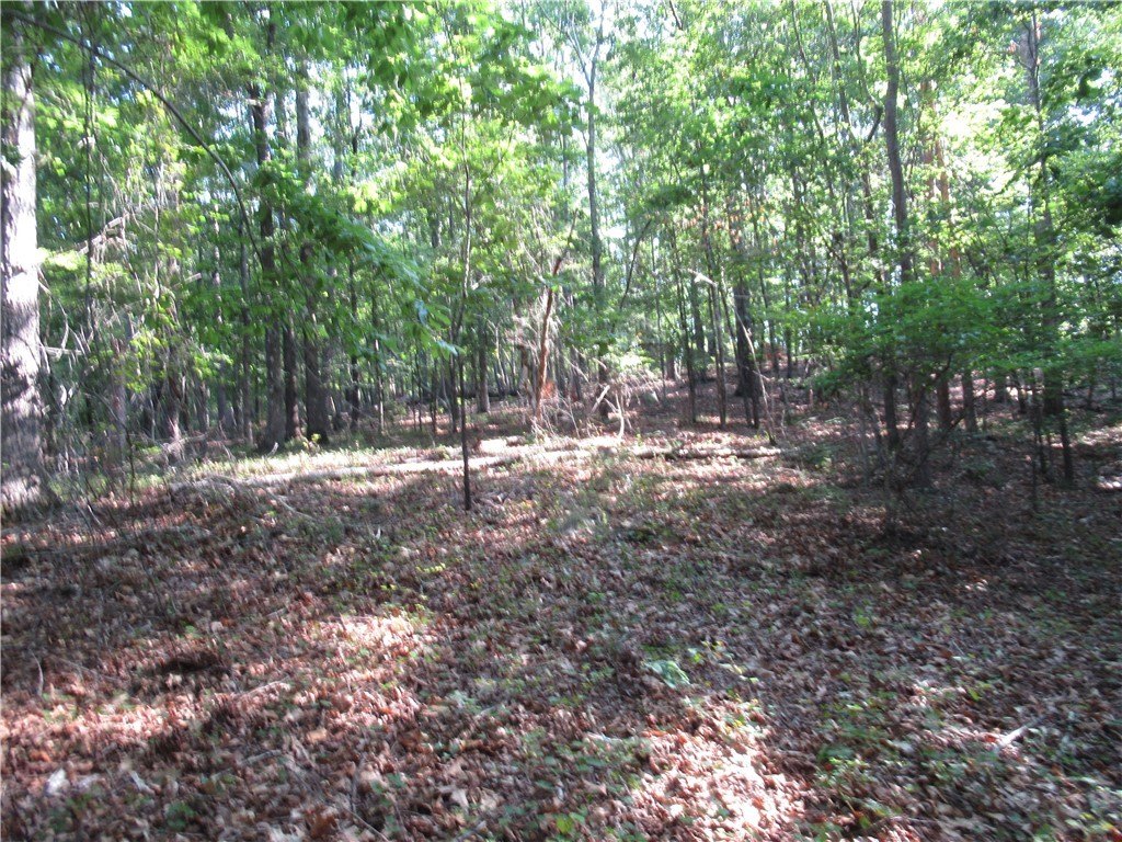 Picture 18