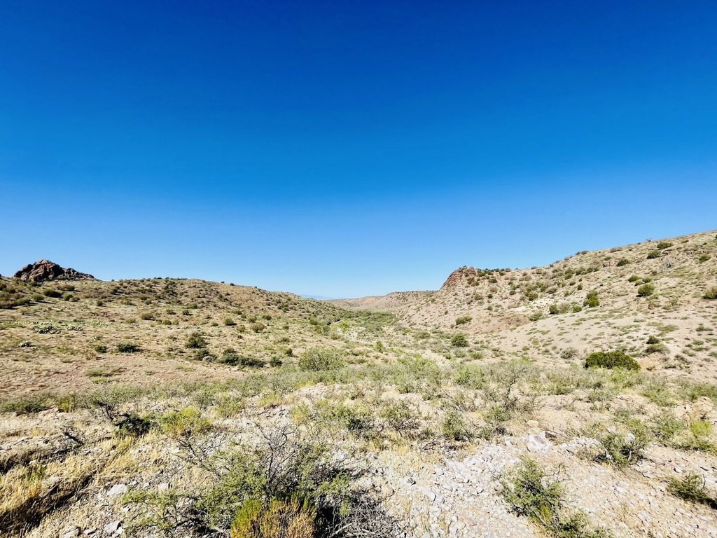 Picture 21