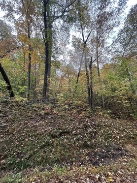 Lots/Land, Camden on Gauley, WV