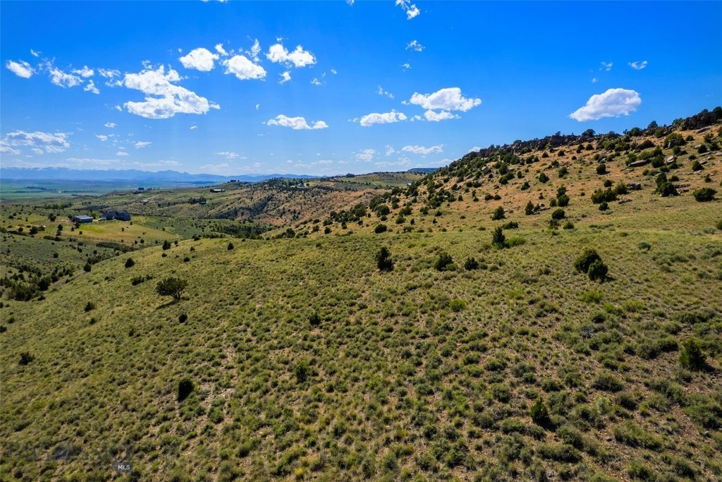 Picture 29