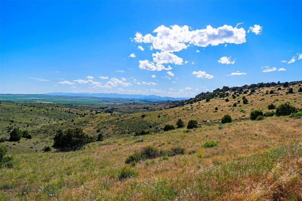 Picture 40