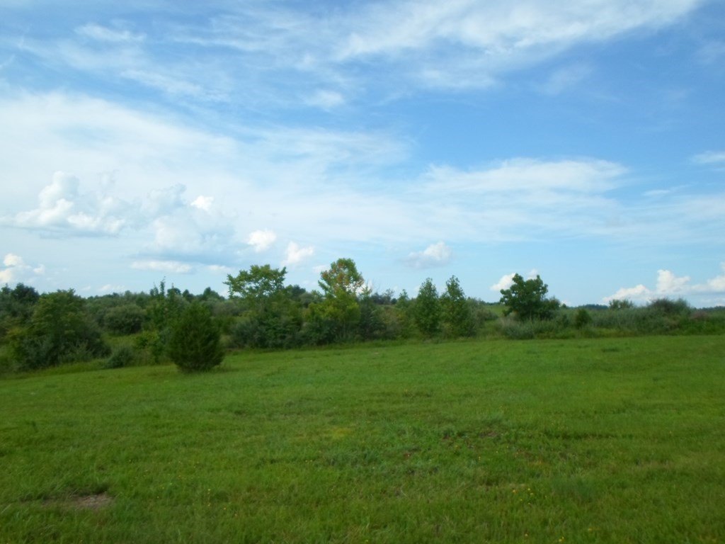 Picture 3